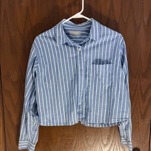 Everlane Blue and White Striped Shirt